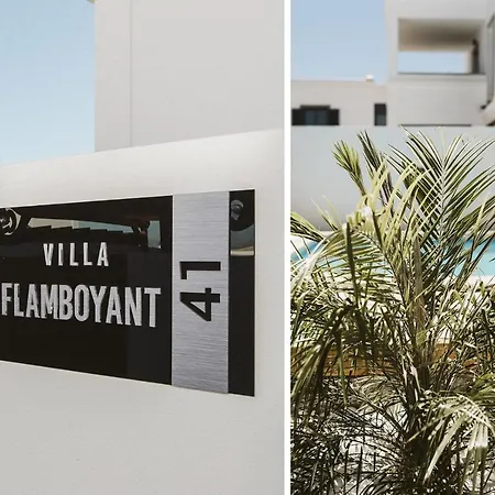 Flamboyan